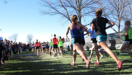 Sędziszów pobiegnie dla Biało-Czerwonej - rodzinne wydarzenie sportowe już 3 maja