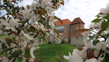 Sandomierz zaprasza do odwiedzin Muzeum Zamkowego 