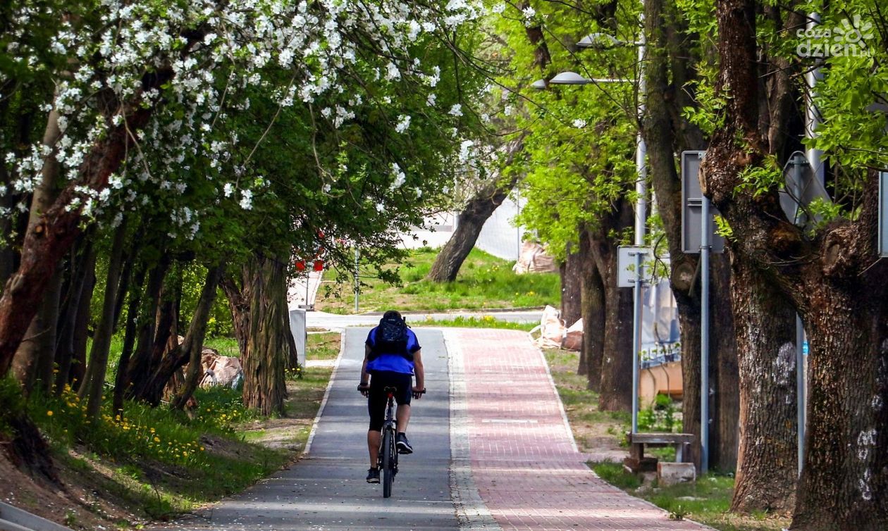Ponad 16 milionów dla Kielc od Urzędu Marszałkowskiego. Skorzystają piesi i rowerzyści