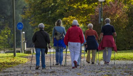 "Marsz z kijkami Kościuszki śladami" w Połańcu 