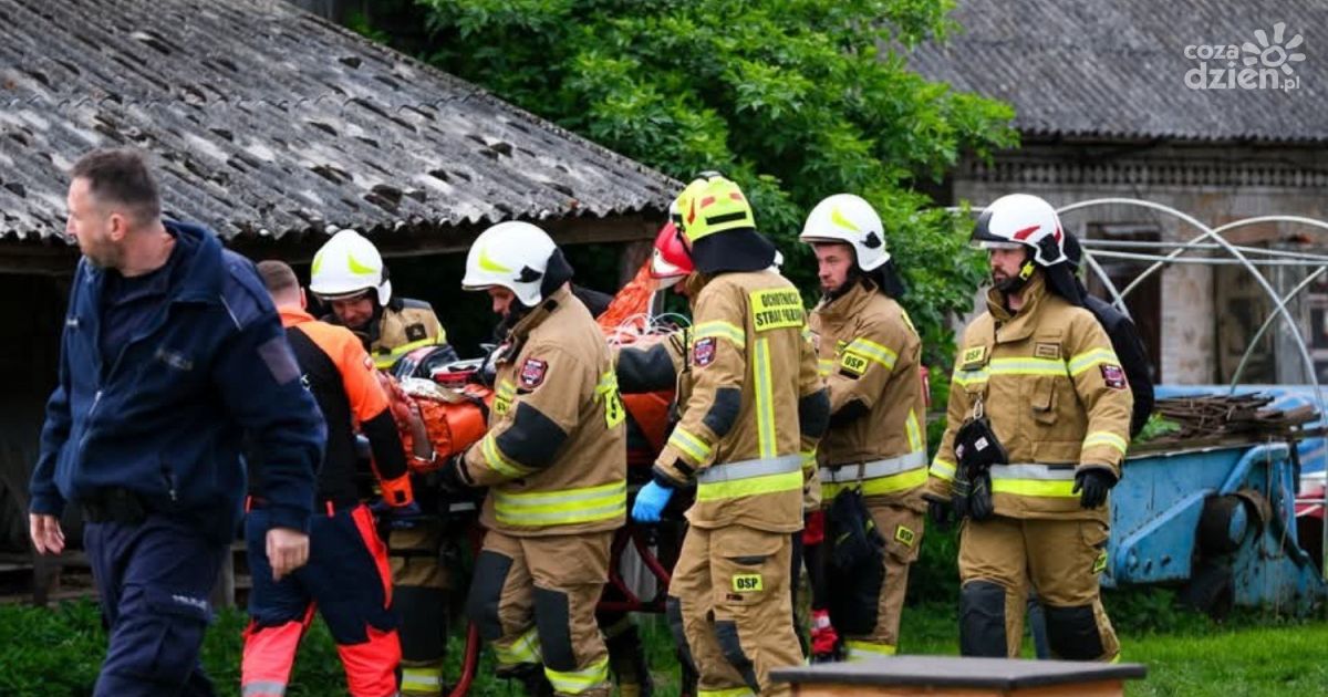 Brutalny atak psów w Osinach. Łukasz – potrzebuje naszej pomocy