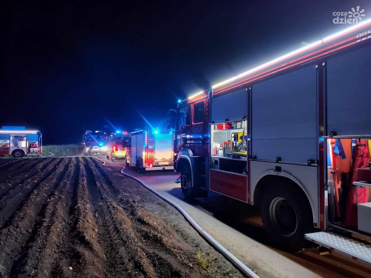 Kobieta zginęła w pożarze w Zajączkowicach 