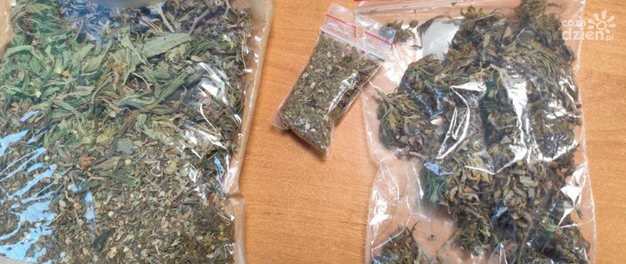 Ponad 900 kg nielegalnego suszu CBD nie trafi na rynek