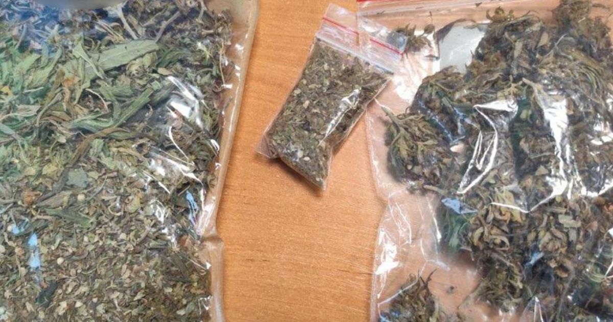 Ponad 900 kg nielegalnego suszu CBD nie trafi na rynek