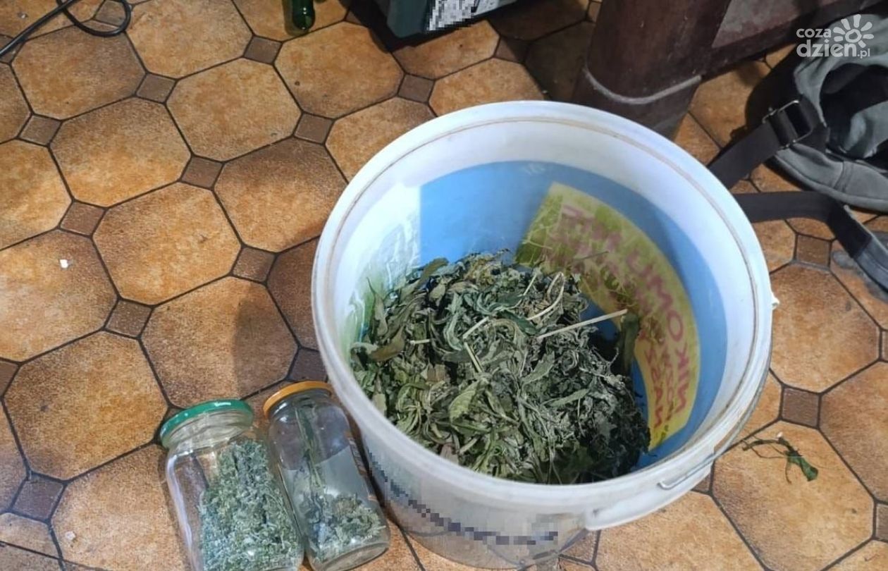 700 gramów marihuany u 52-latka