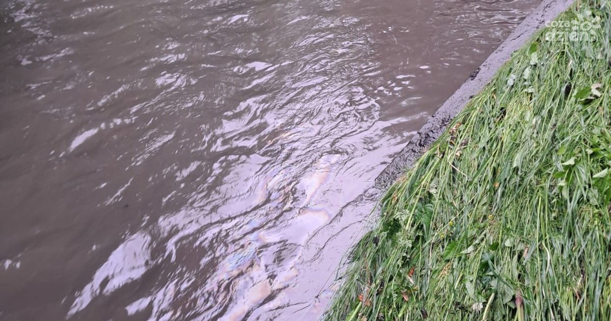Plama olejowa na rzece Silnica w Kielcach. Interweniowały służby ratunkowe