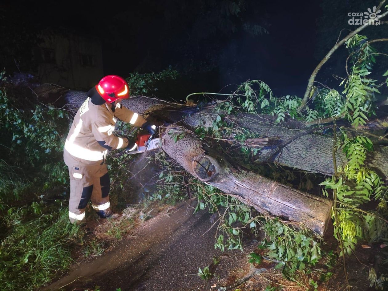 Bilans po burzach w Świętokrzyskiem. Strażacy interweniowali już 227 razy
