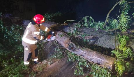 Bilans po burzach w Świętokrzyskiem. Strażacy interweniowali już 227 razy