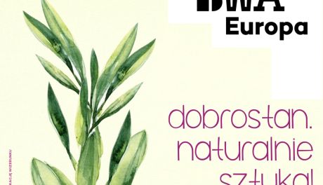 Spacer ze sztuką po osiedlu Słonecznym 