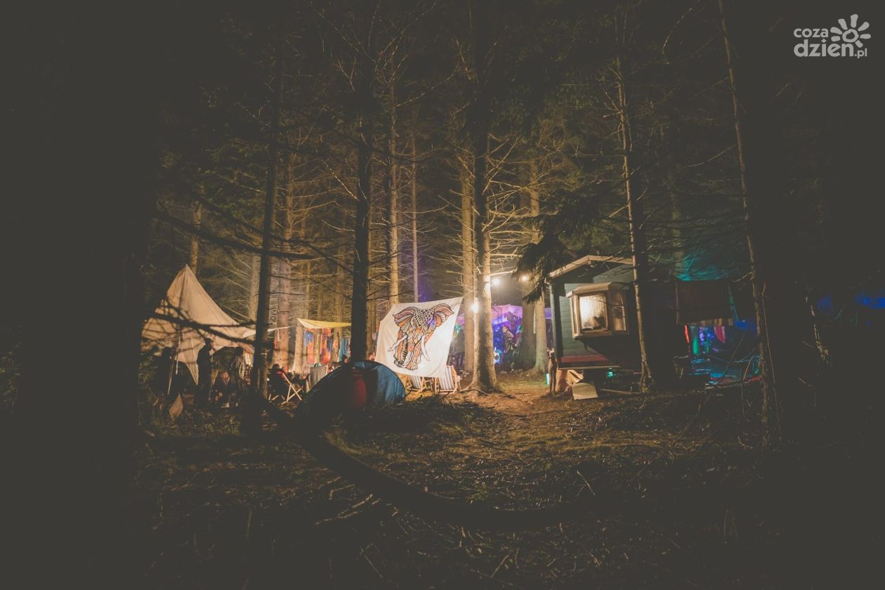 Co to jest LAS Festival? – Leśna Odyseja Dźwięków