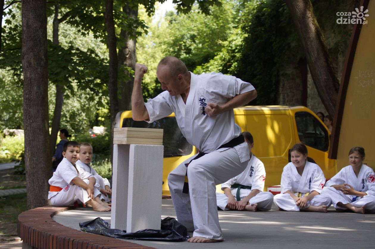 Wielki festyn w Parku Miejskim w Kielcach – inauguracja projektu „Wróżka Zębuszka”