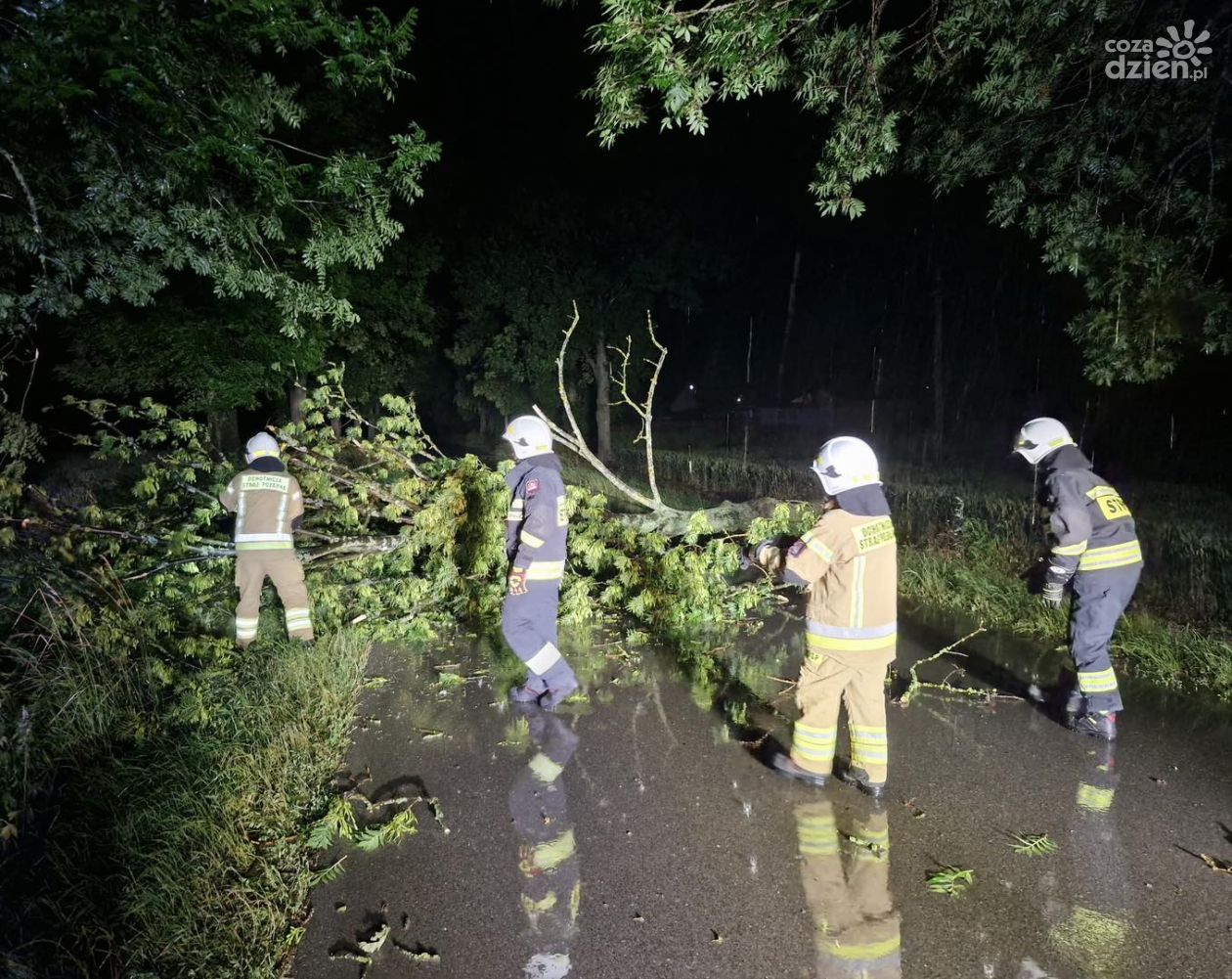 Setki interwencji straży po gwałtownej burzy