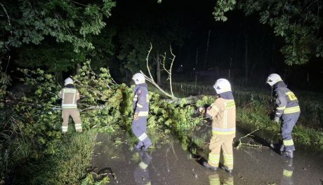 Setki interwencji straży po gwałtownej burzy