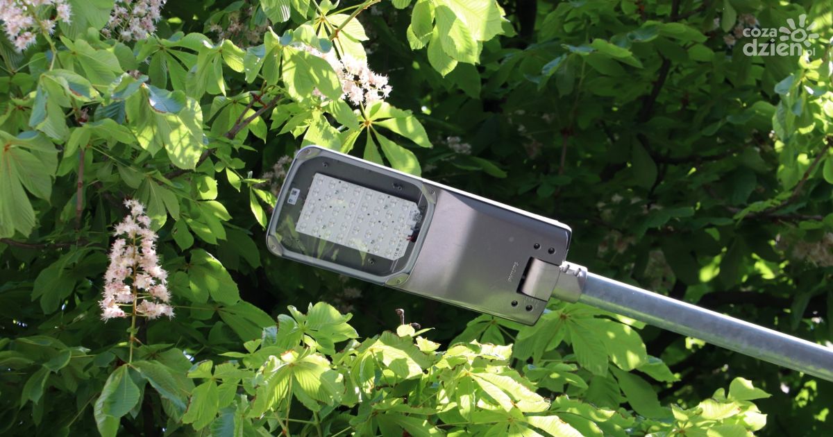 Nowe oświetlenie dla 20 kieleckich ulic