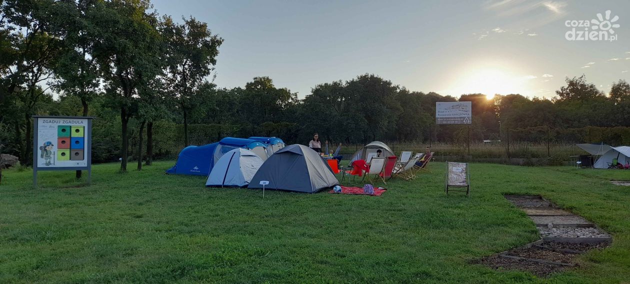 Noc pod gwiazdami. Ruszyły zapisy na zBIWAKowani IV w kieleckim Ogrodzie Botanicznym 