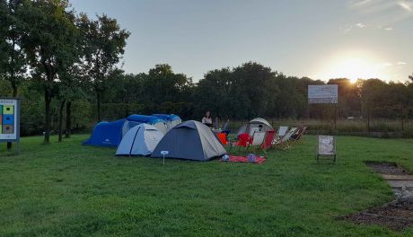 Noc pod gwiazdami. Ruszyły zapisy na zBIWAKowani IV w kieleckim Ogrodzie Botanicznym