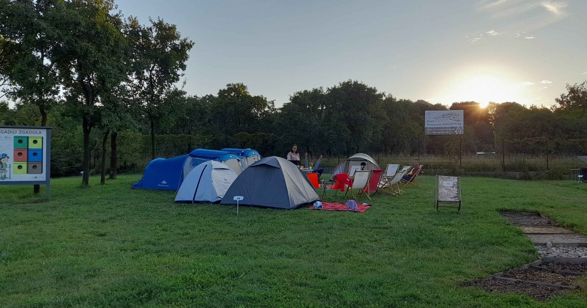 Noc pod gwiazdami. Ruszyły zapisy na zBIWAKowani IV w kieleckim Ogrodzie Botanicznym