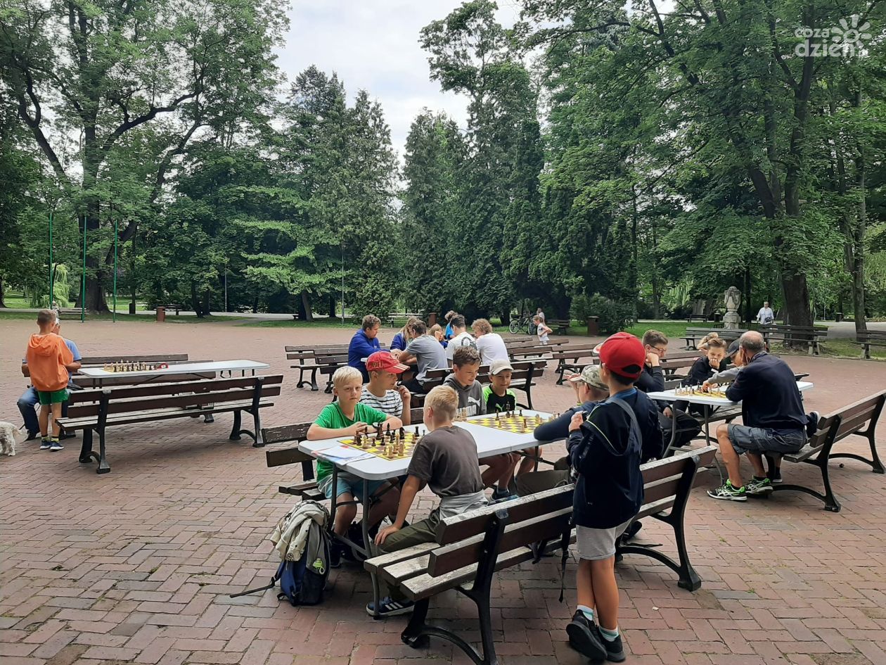 Szachowe lato w Parku Miejskim w Kielcach – Fundacja DOBRY RUCH zaprasza