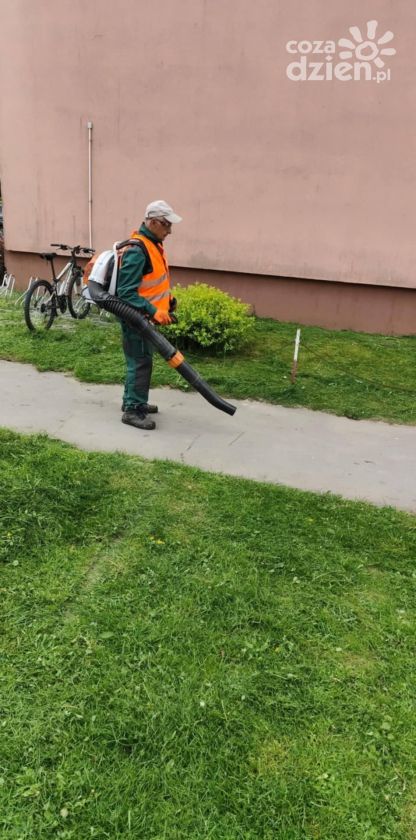  Ostrowieckie spółdzielnie socjalne specjalizują się w pracach porządkowych 