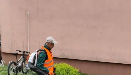  Ostrowieckie spółdzielnie socjalne specjalizują się w pracach porządkowych 