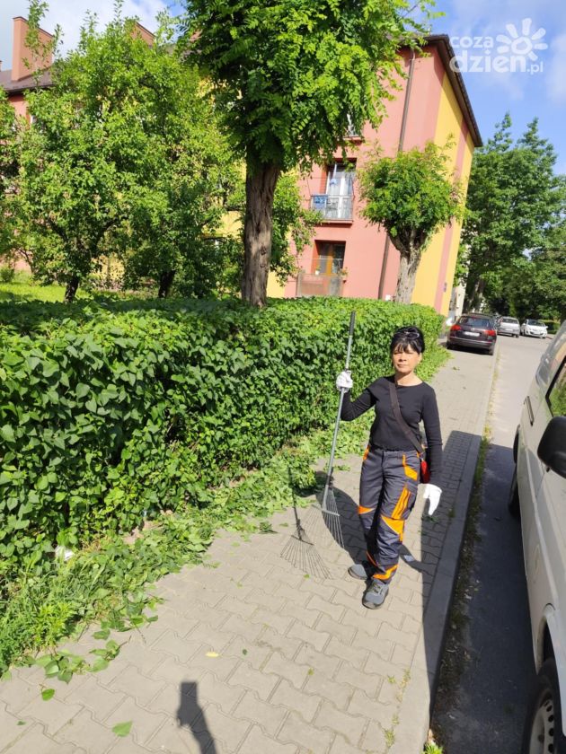 Ostrowieckie spółdzielnie socjalne otwarte na zlecenia nie tylko od samorządów