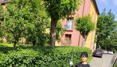 Ostrowieckie spółdzielnie socjalne otwarte na zlecenia nie tylko od samorządów