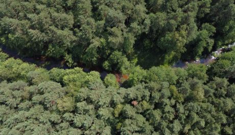  Nowe miejsce w województwie świętokrzyskim — powołano rezerwat przyrody „Papiernia”