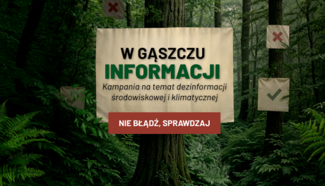 Czy drewno można pozyskać bez wycinania drzew? Co 5. Polak tak myśli – nowa kampania Lasów Państwowych walczy z dezinformacją