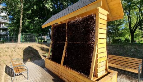 Tężnie solankowe – zdrowie czy siedlisko bakterii? Niepokojące wyniki badań