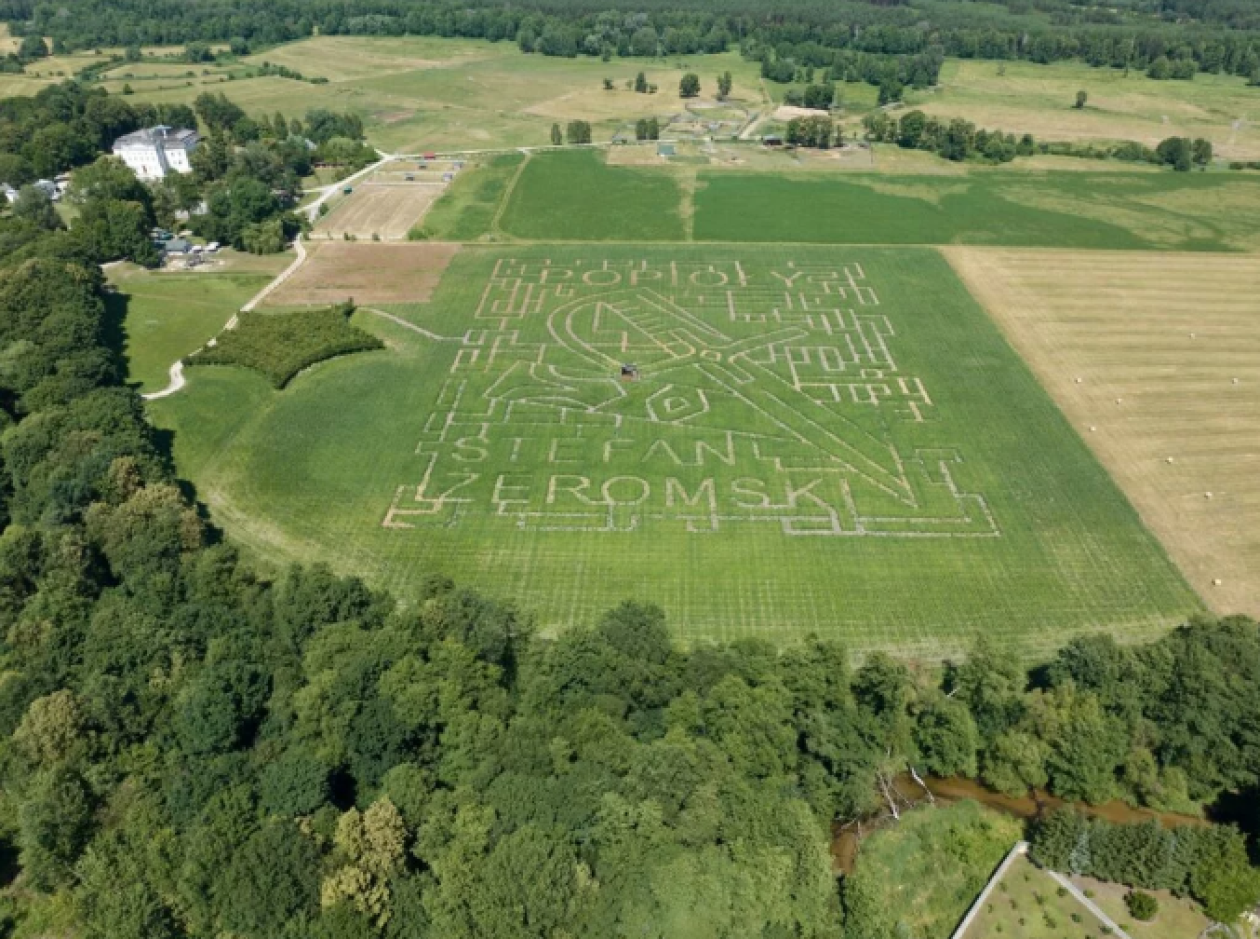 Labirynt w kukurydzy już otwarty! Tym razem w kształcie miecza 