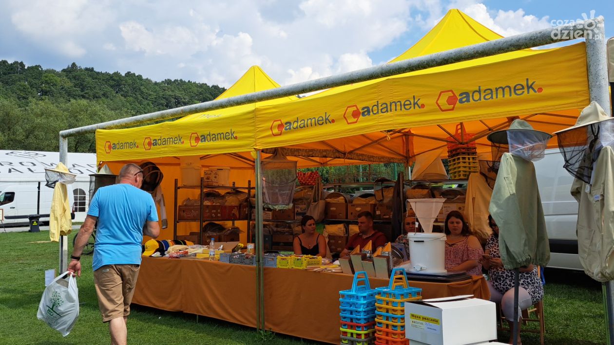 Naukowa strona Świętokrzyskiego Święta Pszczoły 