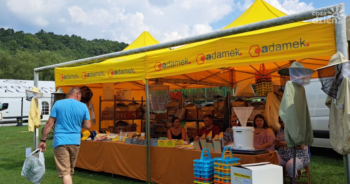 Naukowa strona Świętokrzyskiego Święta Pszczoły