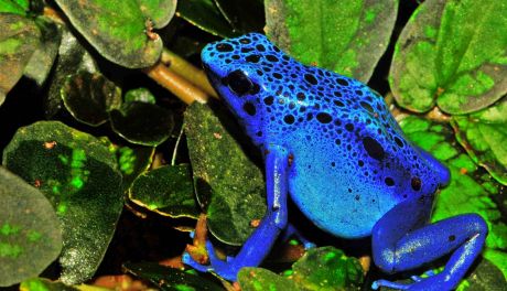 W regionie przybywa egzotycznych zwierząt