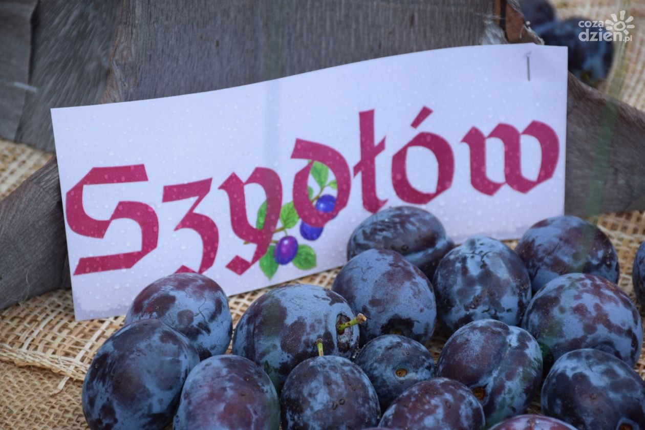 Szydłów stolicą polskiej śliwki. Już dziś rozpoczyna się wielkie święto!