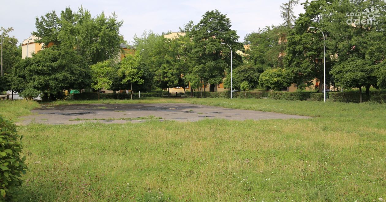 Będzie więcej zieleni w Ostrowcu Świętokrzyskim