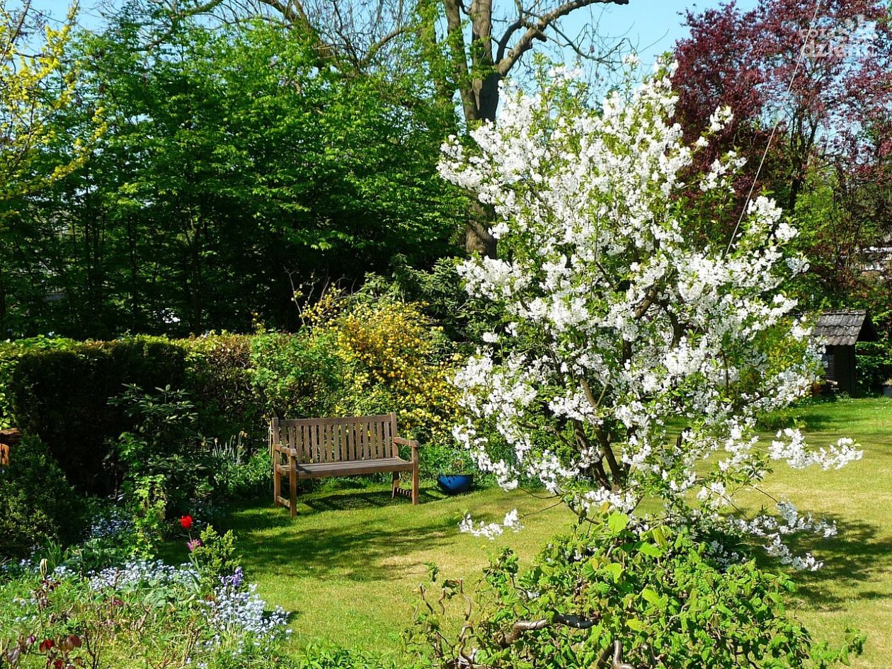 Ostatnie chwile na zgłoszenie do konkursu „Najładniejsza posesja” w gminie Morawica