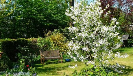 Ostatnie chwile na zgłoszenie do konkursu „Najładniejsza posesja” w gminie Morawica