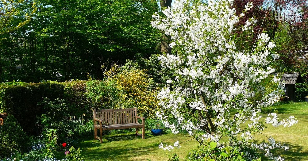 Ostatnie chwile na zgłoszenie do konkursu „Najładniejsza posesja” w gminie Morawica