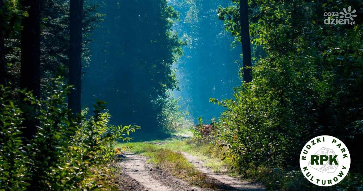 Gra terenowa po Rudzkim Parku Kulturowym