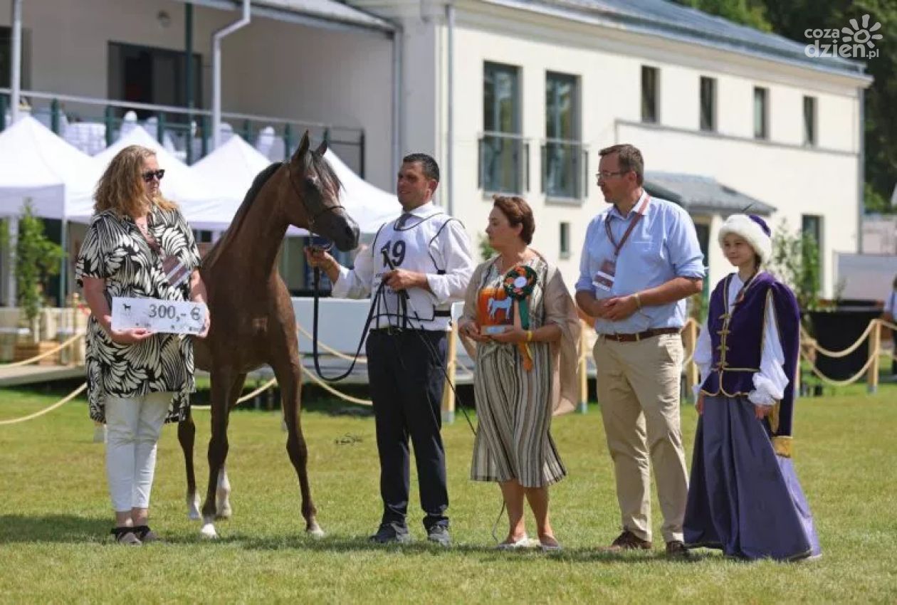 Michałów świętuje sukcesy podczas Dni Konia Arabskiego 2025
