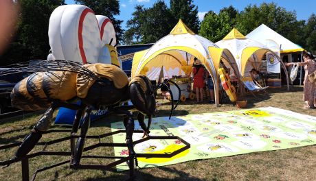 Bałtów miodem płynący 