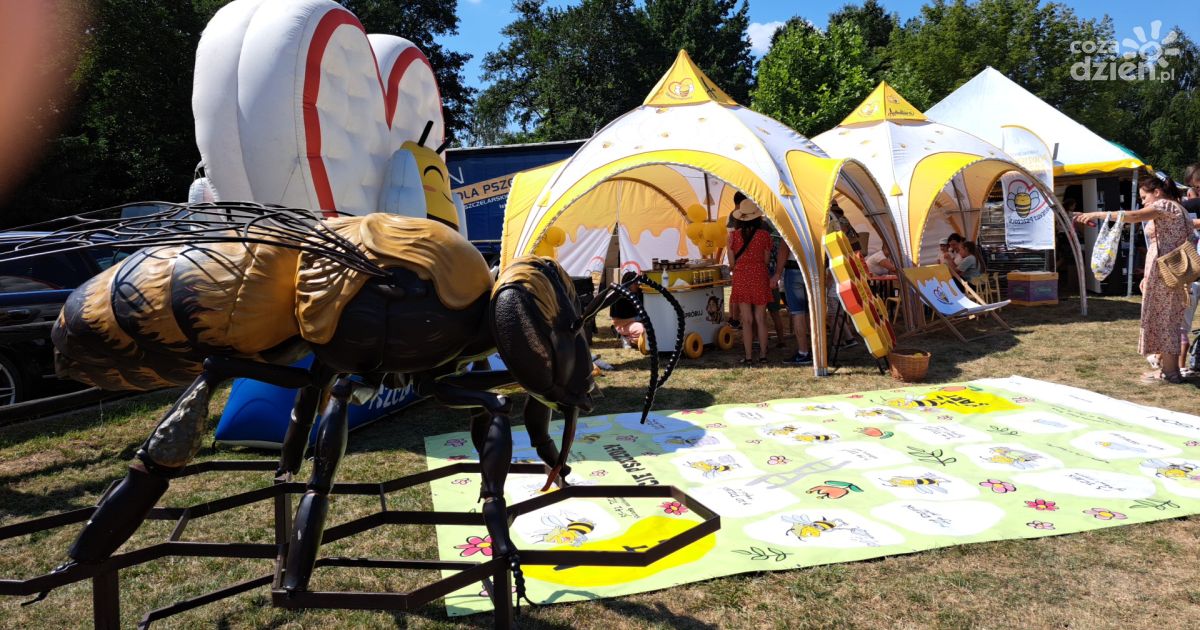 Bałtów miodem płynący