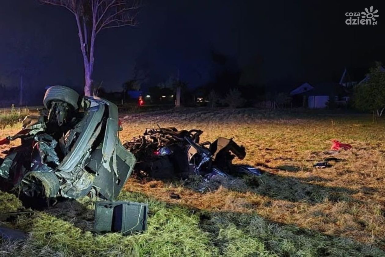 Wstrząsające statystyki z wakacyjnych dróg