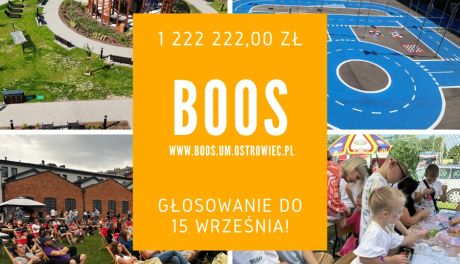 Rozpoczęło się głosowanie w Budżecie Obywatelskim Ostrowca Świętokrzyskiego