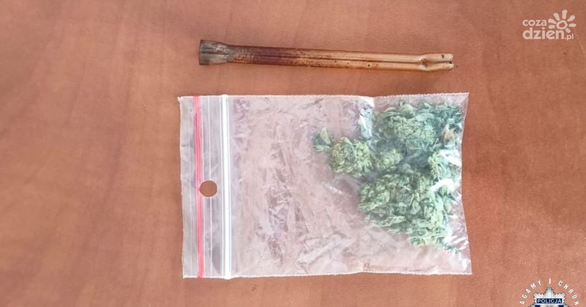 Radoszyce. 35-latek zatrzymany z marihuaną i po alkoholu