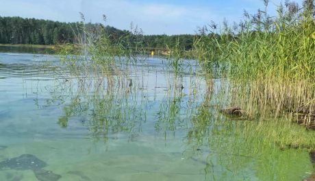 Zalew Lubianka z zakazem kąpania 
