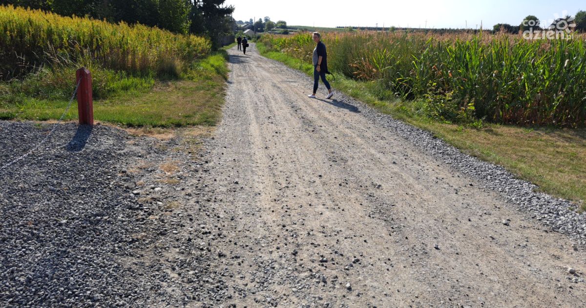 Dotacje z budżetu województwa na budowę dojazdów do pól