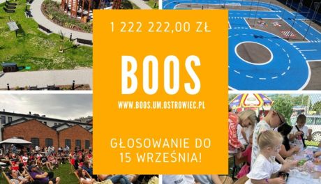 Ostrowczanie decydują o przyszłości miasta. Trwa głosowanie w ramach Budżetu Obywatelskiego