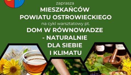 Warsztaty zielarskie w ostrowieckim starostwie 