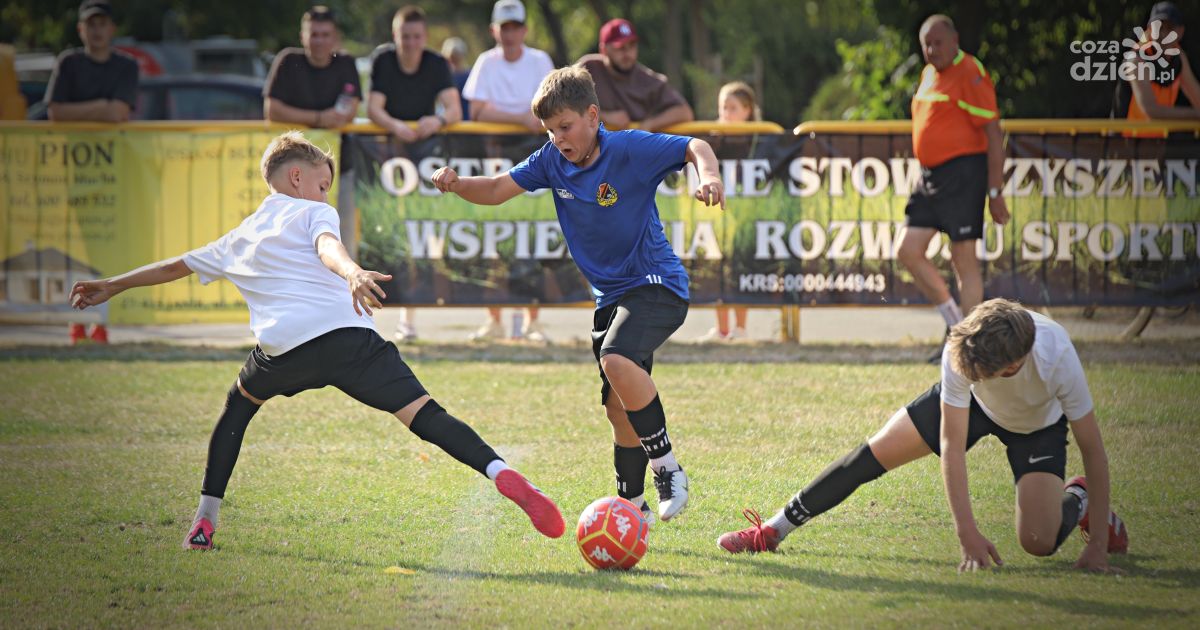 Turniej Ogrody 2025 już za nami